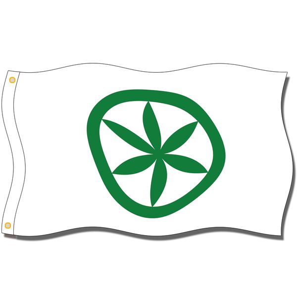 

хороший флаг]padania flags 3x5ft 150x90cm 100% полиэстер, головка из холста с металлической втулкой,использованный внутри помещения или out
