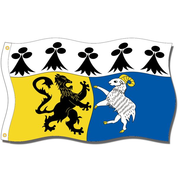 

хороший флаг]drapeau finistère флаги 3x5ft 150x90cm 100% полиэстер, холст голова с металлической втулкой,использованный внутри помещения ил