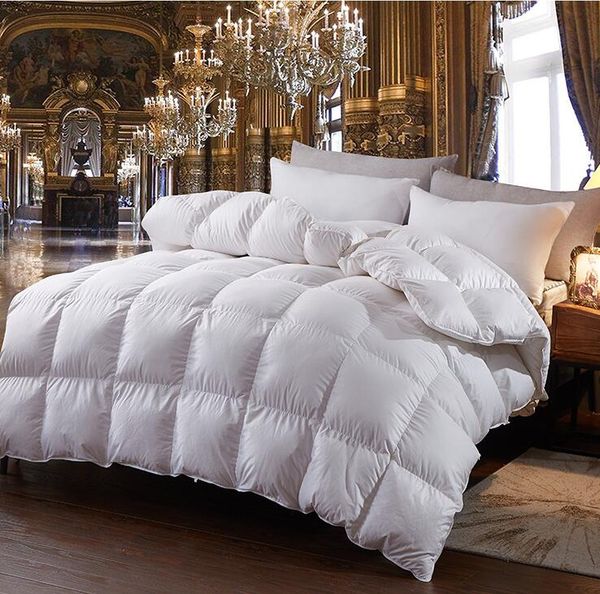 2020 Goose Down Comforter Winter Warm Goose Down Quilt High
