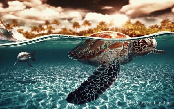 

sea turtle animal poster art posters print ppaper 16 24 36 47 inches