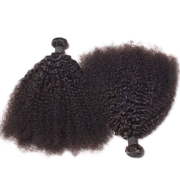 

brazilian afro kinky curly human hair bundles unprocessed remy hair weaves double wefts 100g/bundle 2bundle/lot hair extensions, Black