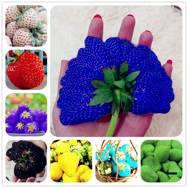 

100 шт. восхождение клубника семена большой клубника дерево 100% правда крытый орган