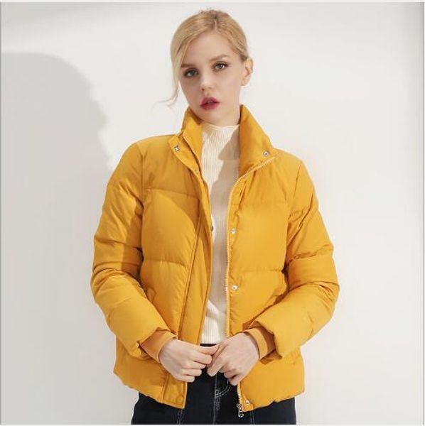 

winter coats 2018 new women stand collar slim fit warm snow jacket female outdoor casual thickening white duck down quilted coat, Black