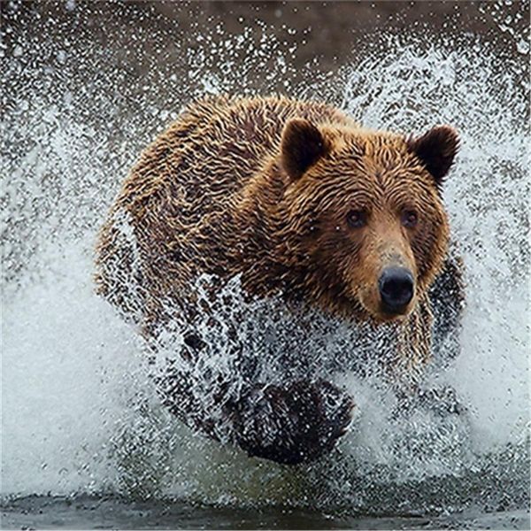 Satin Al 5d Diy Elmas Boyama Elmas Islemeli Taklidi Boyama Dugun