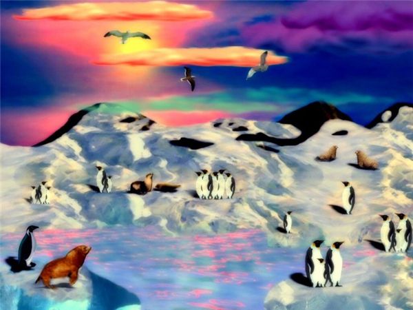 

diamond embroidery animal penguin diy diamond painting cross stitch kit resin full round diamond mosaic home decoration yx1707