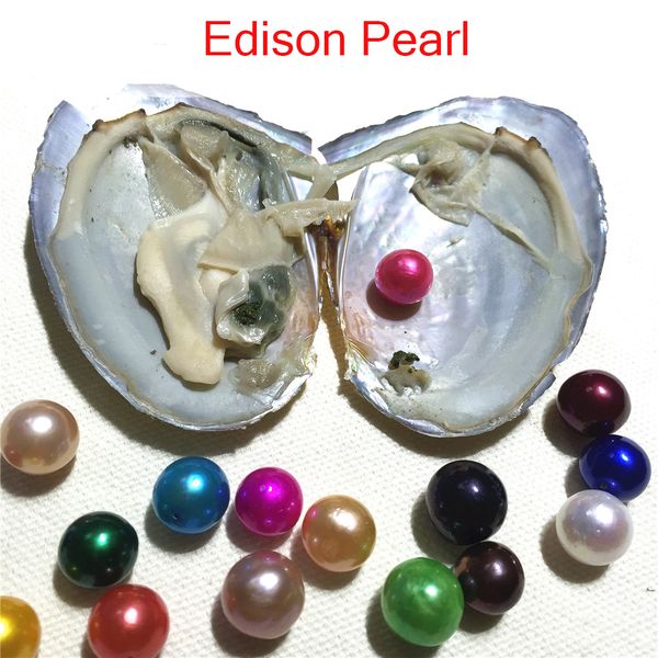 

2018 new diy rainbow 9-11mm edison pearl in freshwater oyster wish pearl meaning funny birthday gift for women party diy jewellery, White