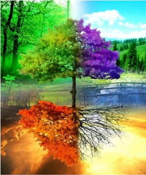 

Full Square/Round Drill 5D DIY Diamond Painting "Four season tree" Embroidery Cross Stitch Mosaic Home Decor Art Experience toys Gift A0102