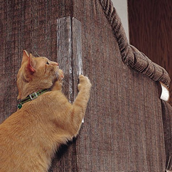 Katze Kratzt Am Sofa The Cool Designs