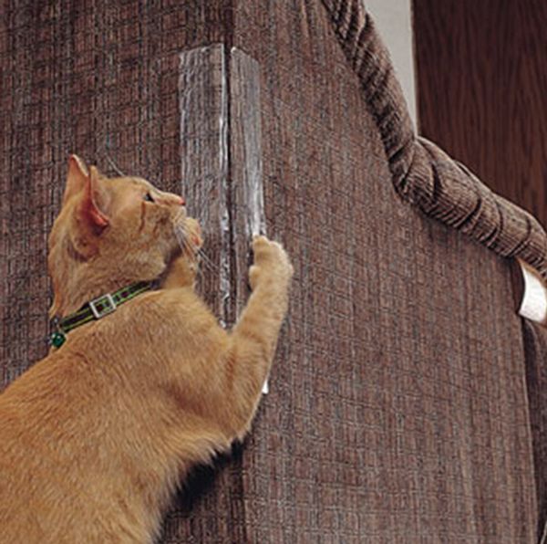 

cat scratching guard pet scratchers protective stickers self-adhesive cat scratching paster furniture protector guard pet toy claw care