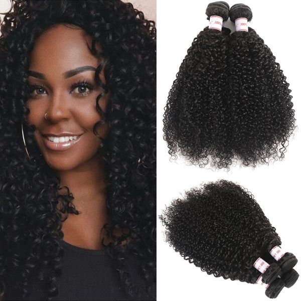Msh 8a Peruvian Kinky Curly Virgin Hair 4 Bundles Human Hair Weave
