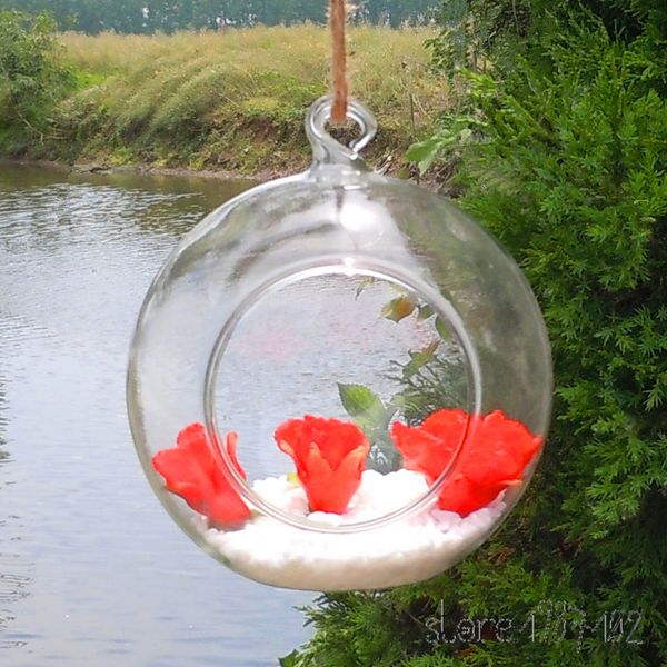6 8 10cm Clear Globe Shap 6 8 10cm Hanging Round Glass Air Plant