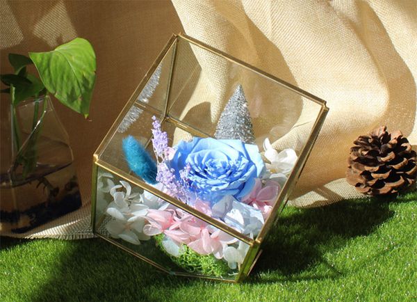 

new garden miniature glass terrarium geometric diamond deskgarden planter for indoor gardening home decor vases fwx9-672
