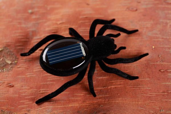 Brinquedo Solar engraçado Aranhas Solares Solar Cricket Educacional spiderToy presente de aniversário com saco de OPP