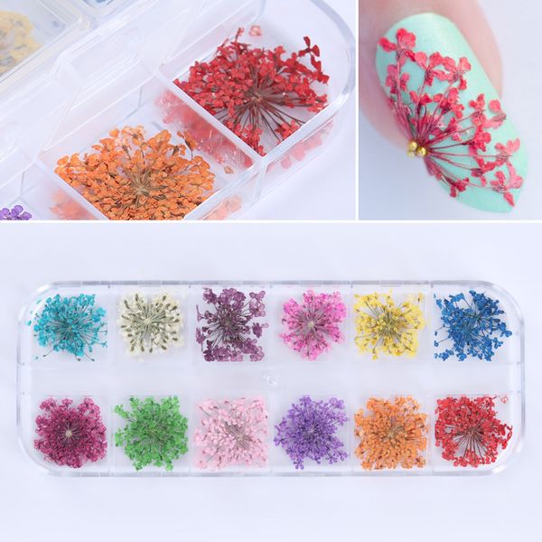 

12 colors dried flowers nail art diy preserved 3d nail art decoration flower with box for decorations, Silver;gold