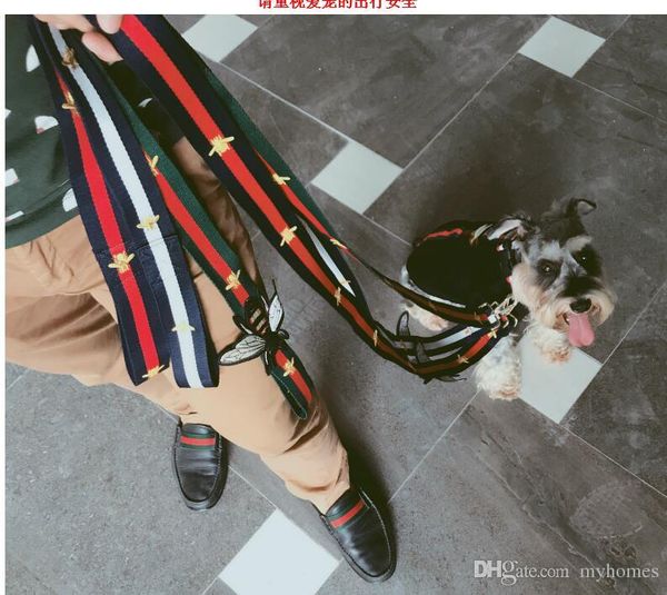 

Coleiras & Trelas para Cães luoxiaohei