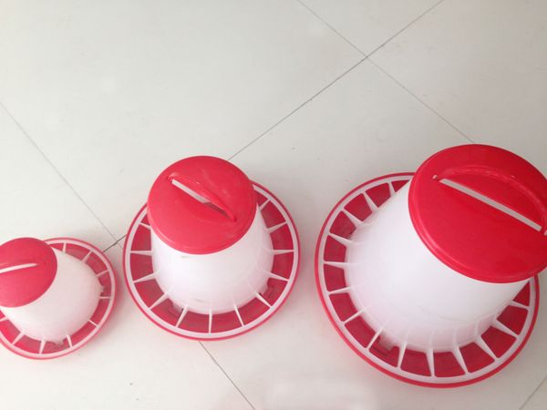 2019 Feeder Used In Poultry Livestock Farm White Plastic Chicken