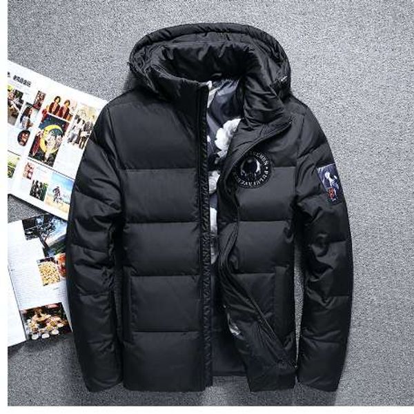 

fashion brand 2018 winter leisure hooded thickening warm pure white duck down jacket upscale boutique hooded down men coat, Black;brown