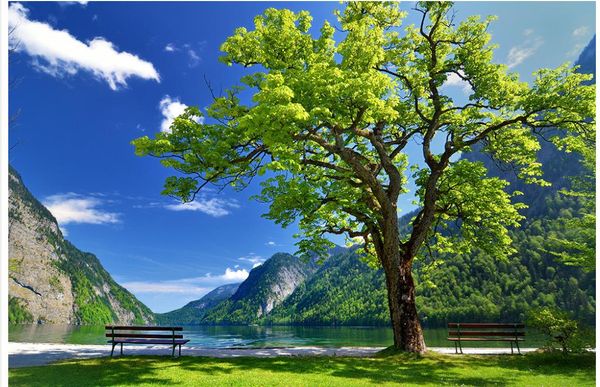 

custom p wallpaper ktv original big tree blue sky grass tv background wall tv background 3d mural wall paper