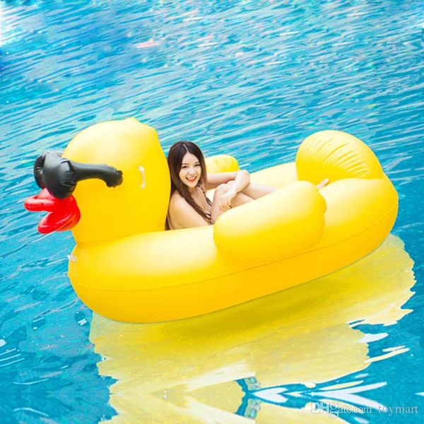 Necessary try Adult promos swim Adult promos swim