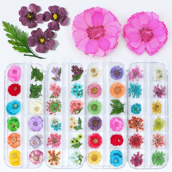 

rhinestones & decorations 12 color nail art nature dry flowers set gel polish tip 3d diy floral slices decal pro manicure, Silver;gold