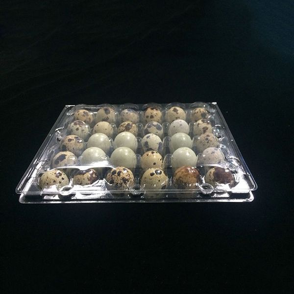 

30 holes quail egg containers plastic quail egg boxes wholesale