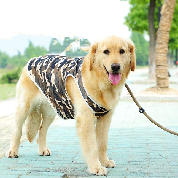 

новый дизайн большой пес жилет большие собаки одежда летняя t -shirt ротвейлер husky golden retriever самоед big pet одежда костюм