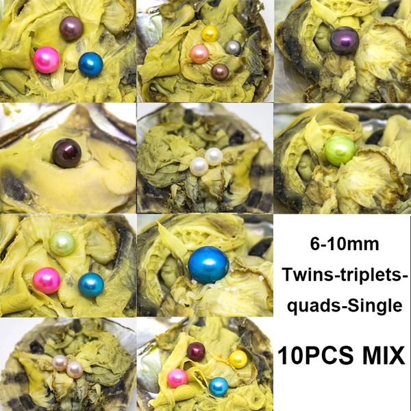 

Oyster with Pearl Round Pearl in Oysters Colorful Edison Pearls Large 6-10mm Quad -Triplet -Twin - Single Edison Pearl Shell Gift 10pcs/lot