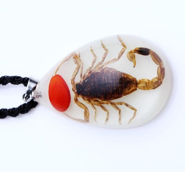 

yqtdmy 12 pcs pretty luminous red bean scorpion new glow product pendant, Silver