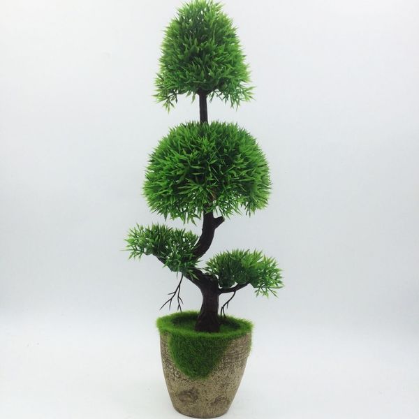 30+ Top For Floating Bonsai Tree Cost | Pink Wool