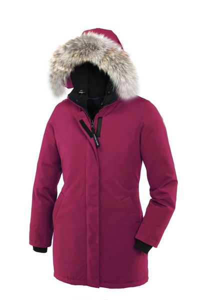 

Down e Parkas goose_clothing