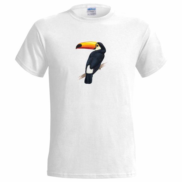 Acheter Toucan Art Design Mens T Shirt Bel Oiseau Oiseaux Faune Toucans Exotiques Blanc Noir Gris Pantalon Rouge Tshirt De 1624 Du Qqq614445917