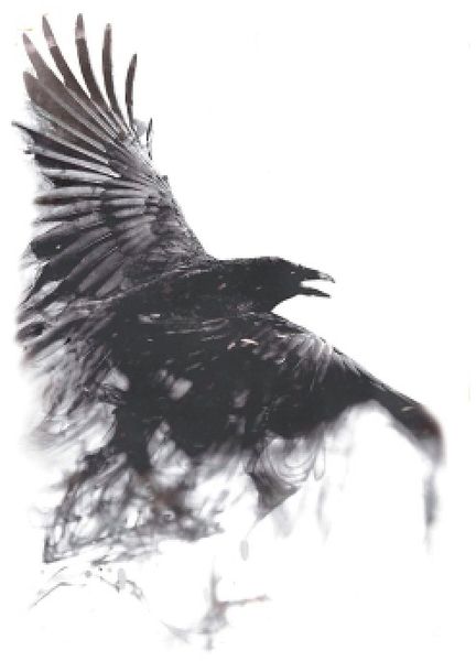 Acheter Autocollant Temporaire Imperméable à Leau De Tatouage Goth Conjuration Psychique Corbeau Corbeau Autocollants De Tatouage Flash Tatoo Faux