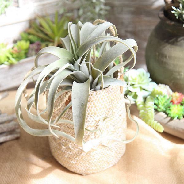 

artificial succulents plants grass artificial plant latex landscape fake flower arrangement garden decoration home office party decoration