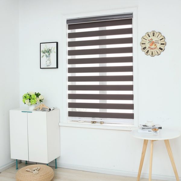 2019 Zebra Blinds Horizontal Window Shade Double Layer Roller