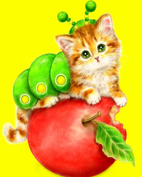 

a1327 catandapple 20 * 25 алмаз вышивка home decor алмаз вышивка крестом 100% смолы инструмент dril живопись вышивки крестом мозаика рукодел