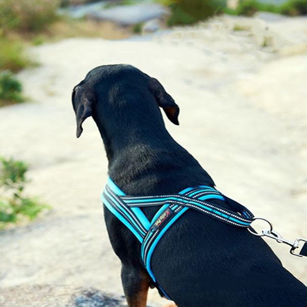 

выдвижная собака автоматическая веревка для поводка телескопическая тяга