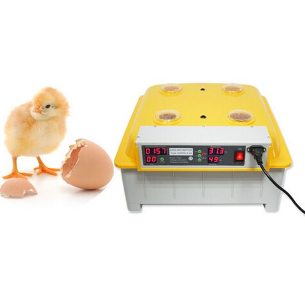 

1pc 48 eggs digital clear egg incubator hatcher electricity automatic turning temperature control egg incubator machine 220v