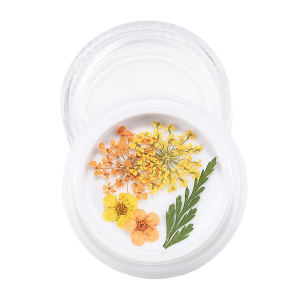 

dried flowers nail art manicure tools for acrylic uv gel tips decoration