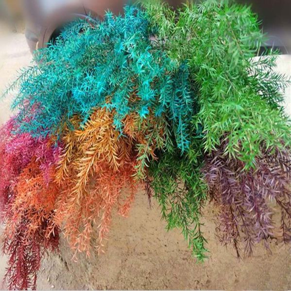 

100g preserved melaleuca bracteata flower branch for craft gift material accessory decoration flower arranging diy