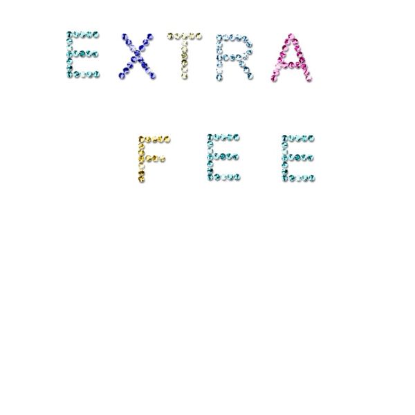 

специальная ссылка для оплаты дополнительной платы