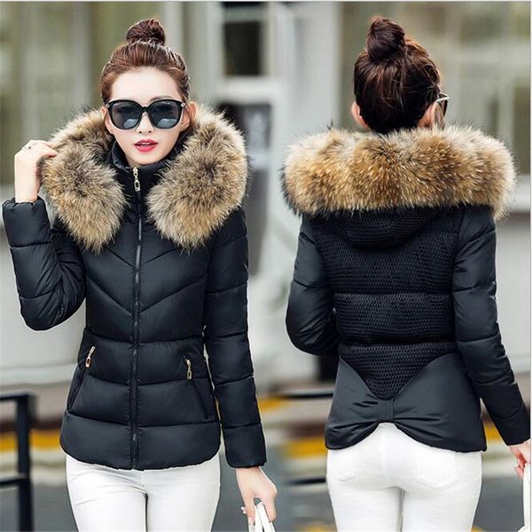 

slim jacket women parkas winter fur collar hooded short women jackets cotton warm black winter female coat outwear nice knhj733
