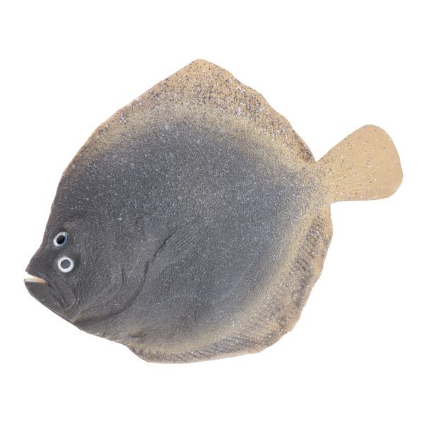 

realistic simulated turbot fish shape toy environmental pu material artificial fish for refrigerator decoration