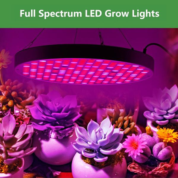 

led full spectrum plant growth lamp 50w greenhouse growth tent hydroponic growth system quantum board led plant lamp blue red 110v / 220v