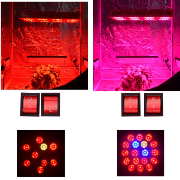 

led grow light high cost-effective sell well light efficiency and colorful for green houses and scientific research institution