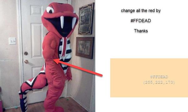 

snake mascot costume character costume size ing, Red;yellow