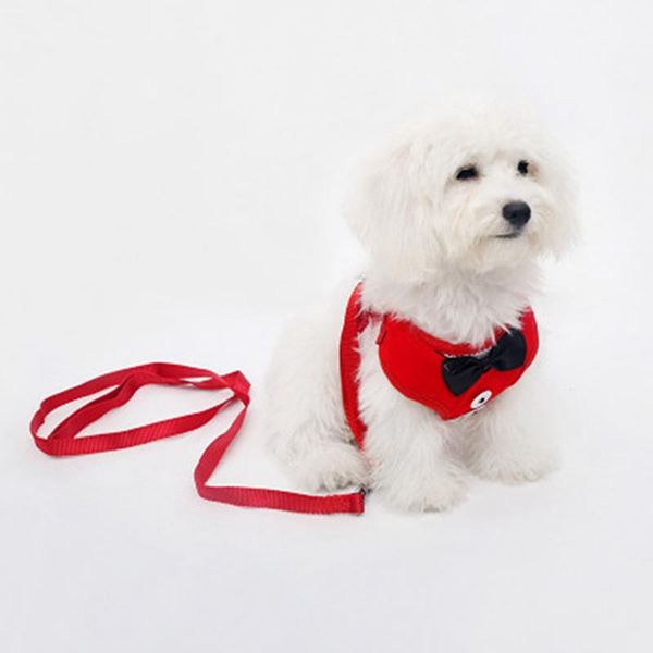 

мода pet личность тедди новая любовь матери various собаки новые pet одежда нагрудный щенок мех пояс толстовка тяговый канат