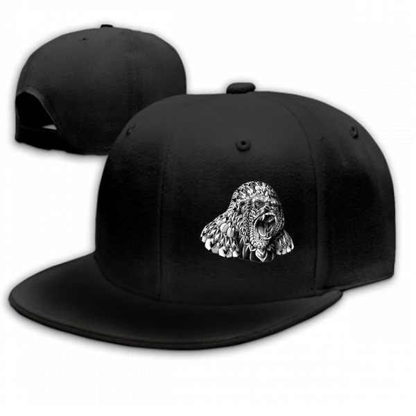 

bonjean casual print baseball cap men capslab cap women's snap back caps for women, Blue;gray
