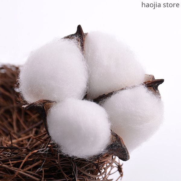 

new artificial flower arrangement diy wreath door decoration 20pcs cotton flower dry white natural dry cotton ball head