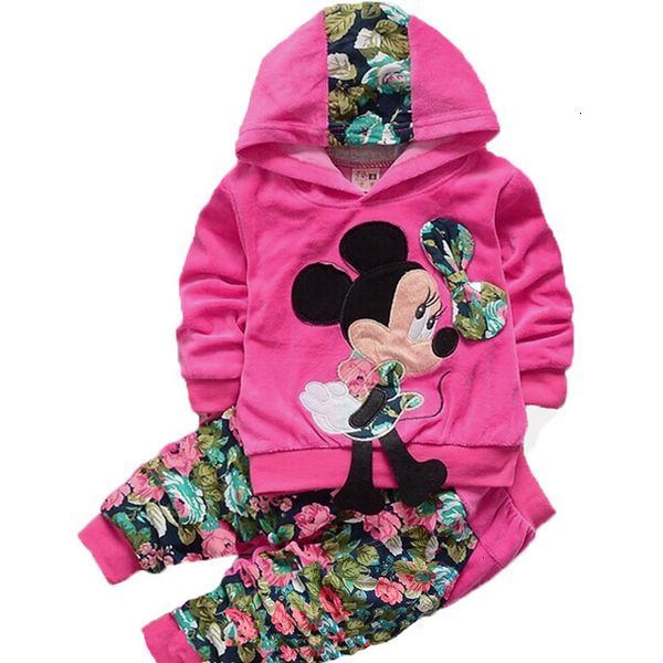 

baby girls clothing sets spring newborn casual cotton hooded children clothes set full sleeve girls pants sweatshirt children, White