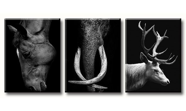 

3 panel canvas wall art animals horse elephant elk black and white animals painting for living room hd prints poster no frame